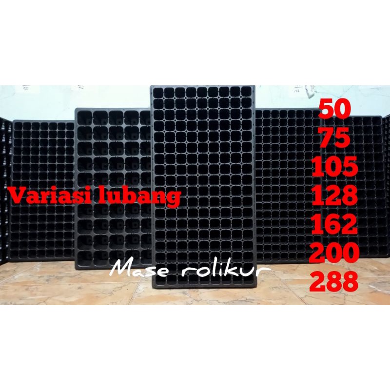 potrey potray nampan semai tempat semai 50, 72, 105, 128, 162, 200, 288