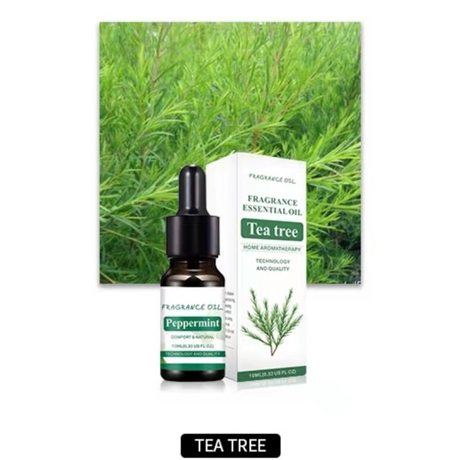 Humidifier Diffuser air aromatherapy 260 ml with 7 colour LED Lamp + Oil Aromatherapy - Pelembab ruangan-TETES TEATREE