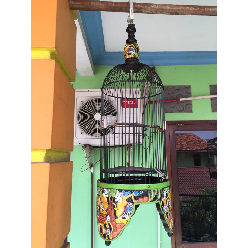 sangkar ukir jepara ory pleci dan burcil helopet