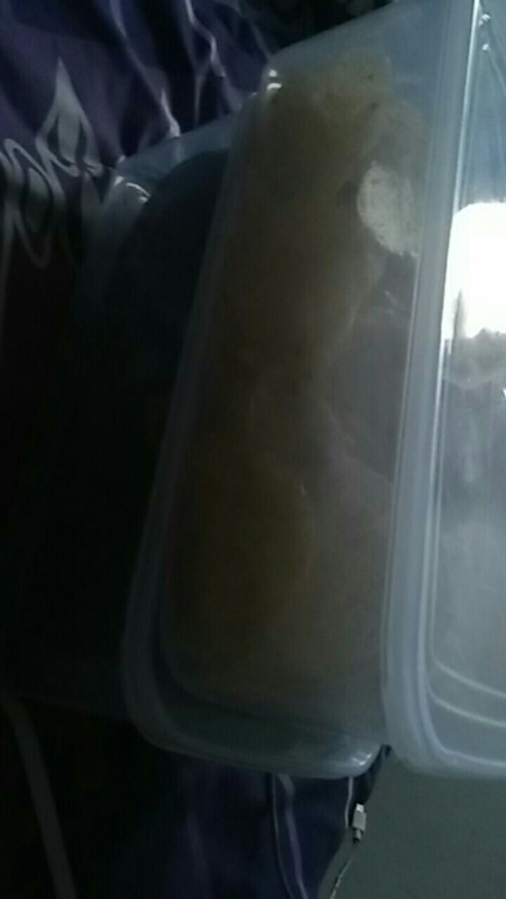 Kotak Sayur Sealware 3000ml Tutup Warna Termurah