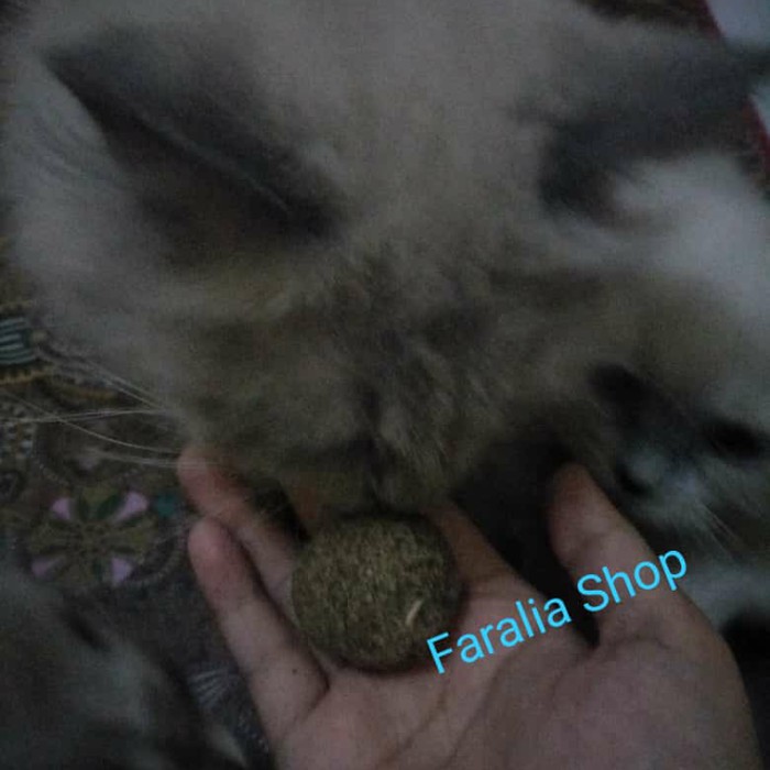 Mainan Cakaran Kucing Bentuk Bola Aroma Catnip Cat Scratcher Ball Nip Mint Calendula Kelinci Nipball