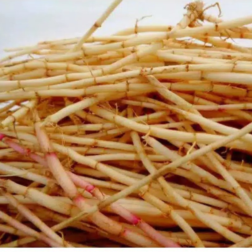 

Akar Alang Alang Segar Obat Herbal 500gram
