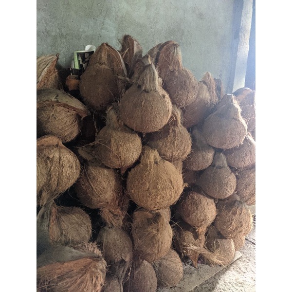 

kelapa sayur/santan super/ beli 8 biji ada bonus