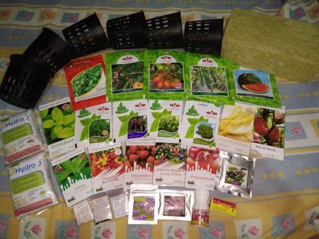 20 Benih Catnip