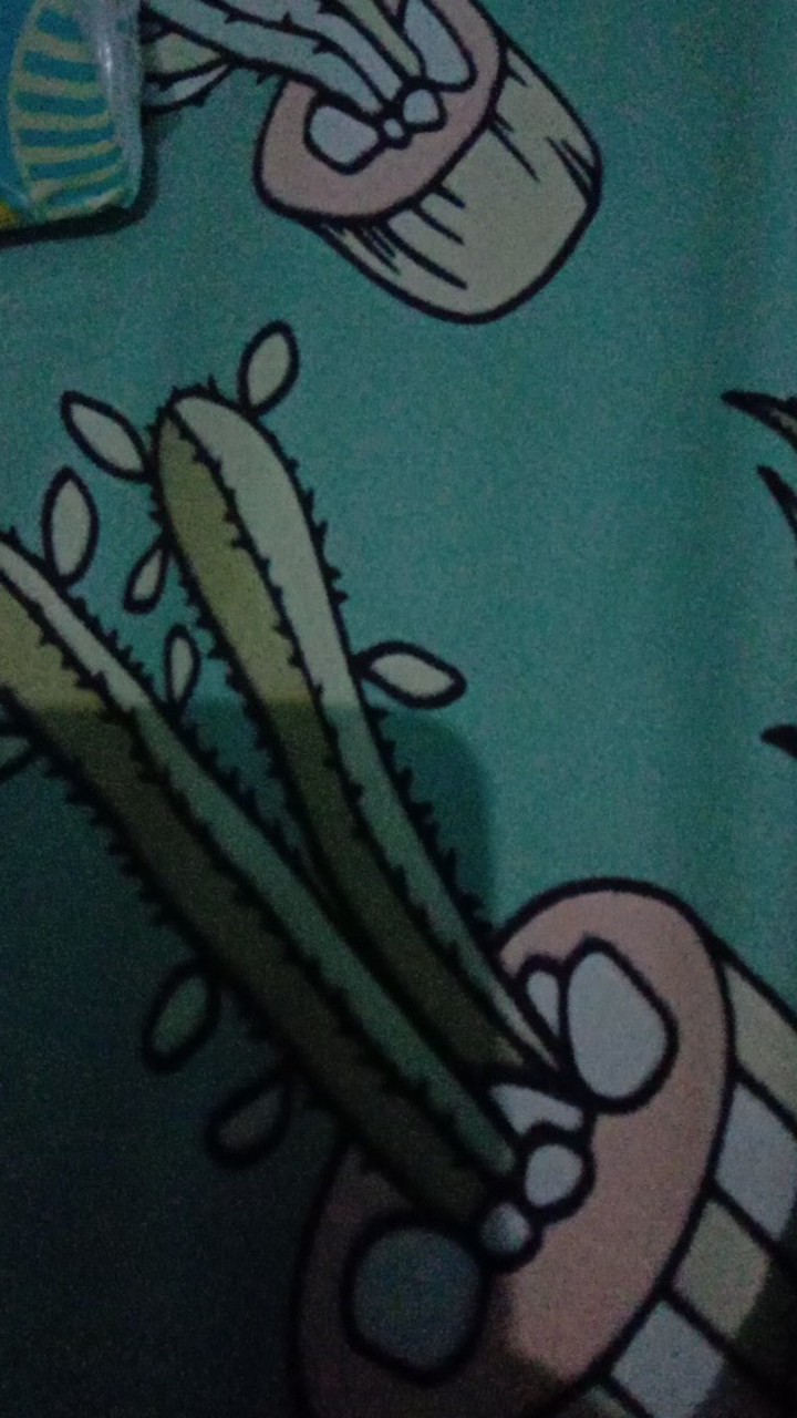 Bunga Peony Mangkok Sedang