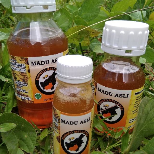 

Madu Borneo