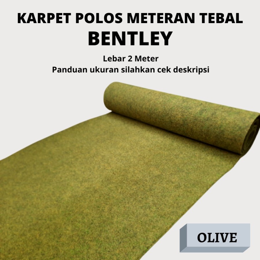 BENTLEY Karpet Bludru Bulu Tebal (0.5mx2m), Karpet Brudu Murah, Pameran, Alas duduk, Alas Kasur-OLIVE GREEN