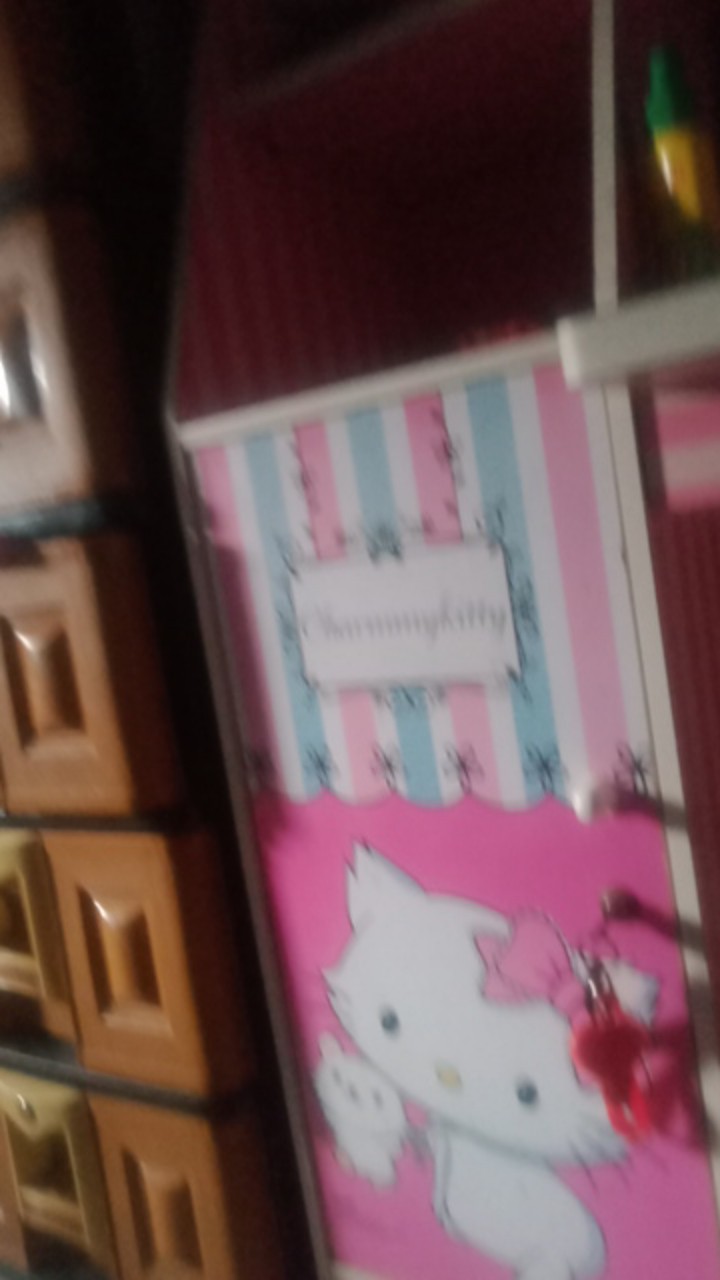 Pisau Apel Ada Penutup Sesuai Warna Pisau Stainless Stell Murah Pisau Buah Pisau Dapur