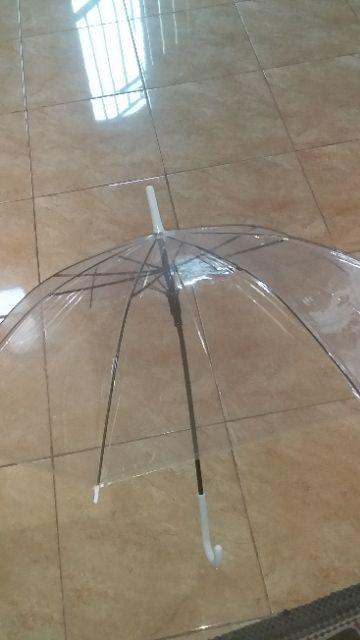 Payung Tongkat Transparan Bening Nagoya