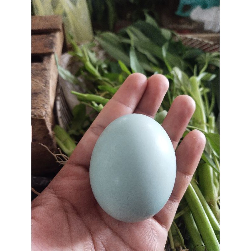 

Telur Bebek/Butir Ukuran Besar