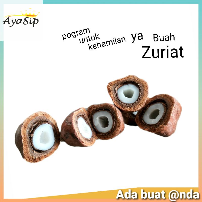 

{Buah Promil} Buah ZURIAT Mesir Buah program Kehamilan 1kg Buah Zuriat Oleh Oleh Haji dan Umroh