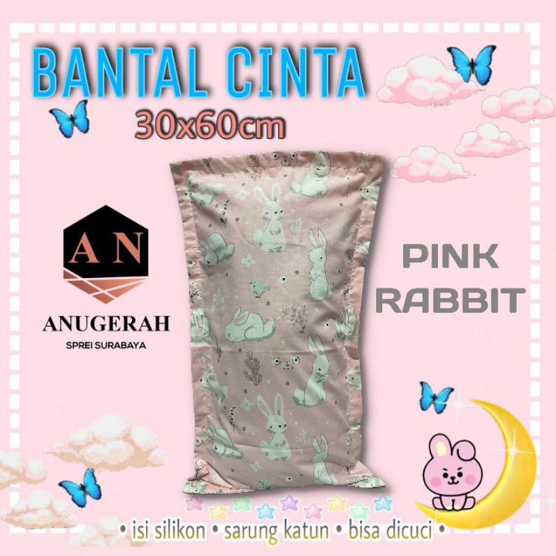 SALE!! BANTAL CINTA 30X60CM / BANTAL BAYI / BANTAL IMUT  / BANTAL SILIKON