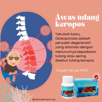 Marine Organic Calcium Mineral Alami Mencegah Osteoporosis Dan Membentuk Tulang Anda Lebih Padat