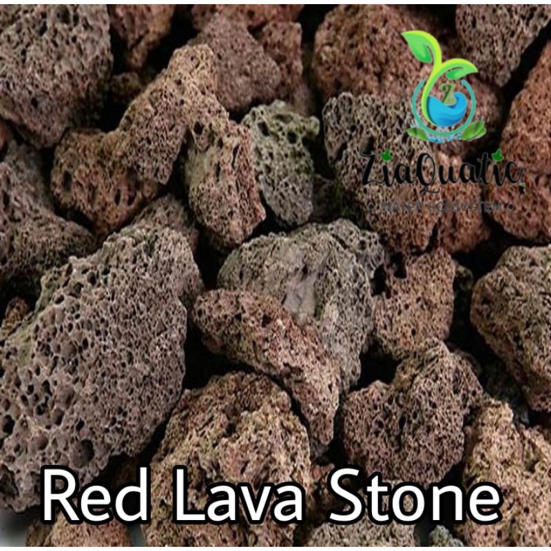 Batu Aquascape/Batu Lavarock Merah/Red Lava Stone/Hiasan Aquarium/Iwagumi/Natural Aquascape