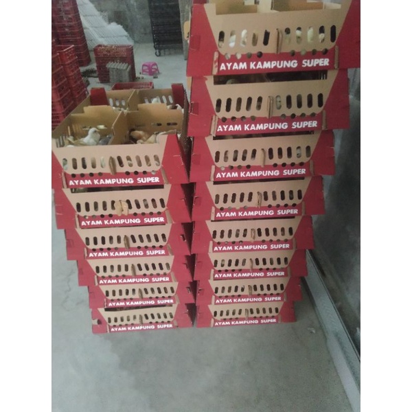 

kampungsuper