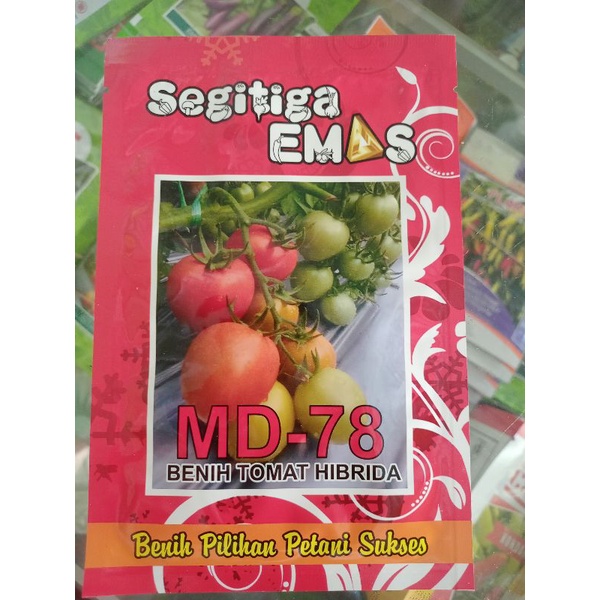 BENIH TOMAT MD-78 HIBRIDA SEGITIGA EMAS 10gr