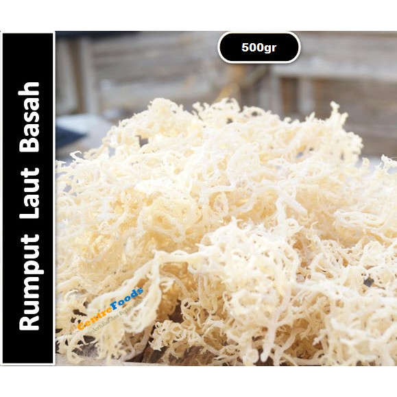 

Rumput Laut Fresh | Basah [ Berat 0,5Kg / 500gr ]