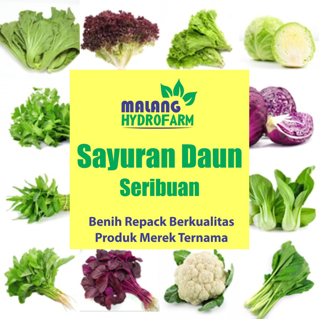 Jual Benih Sayuran Daun Seribuan Berkualitas Biji Bibit Hidroponik Hydroponik Sayur Seribu Paket