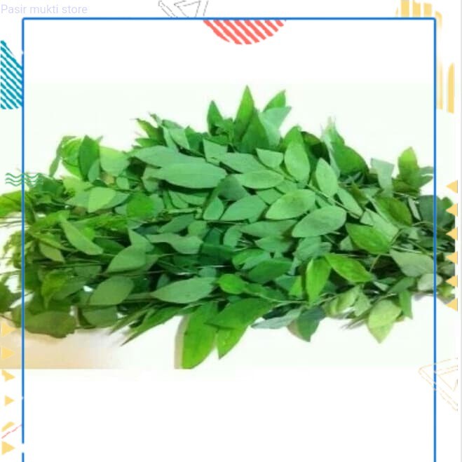 

daun katuk fresh 200 grm COD