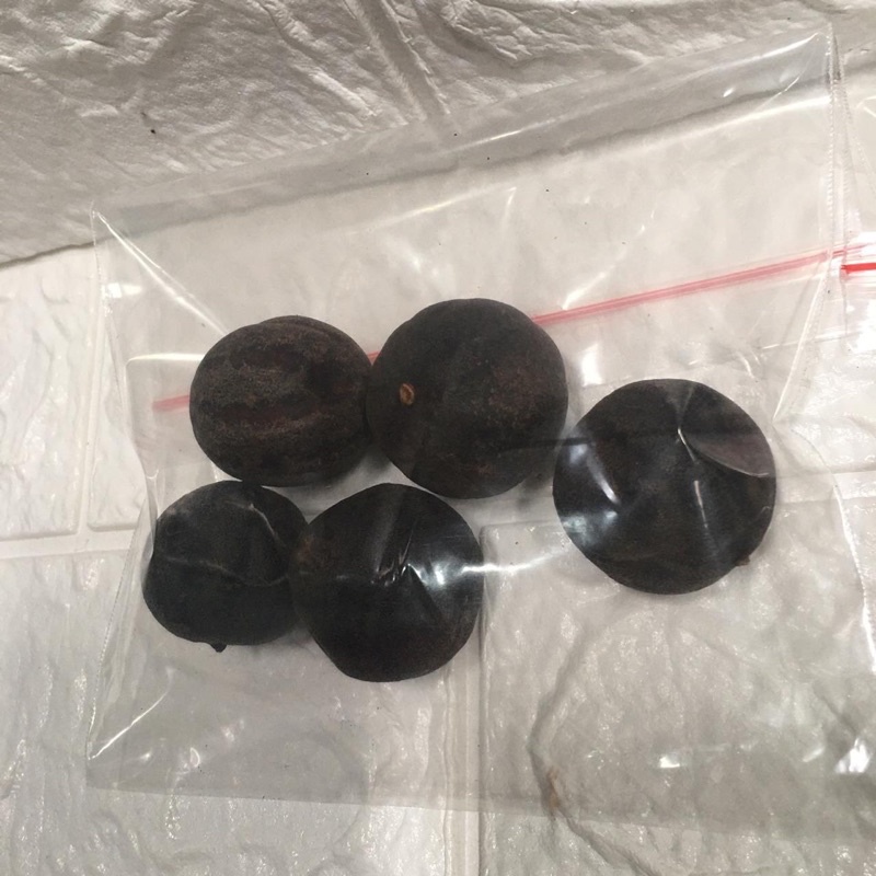 

Jeruk Hitam Lemon Hitam Kering Untuk Nasi Mandhi Bumbu Arab