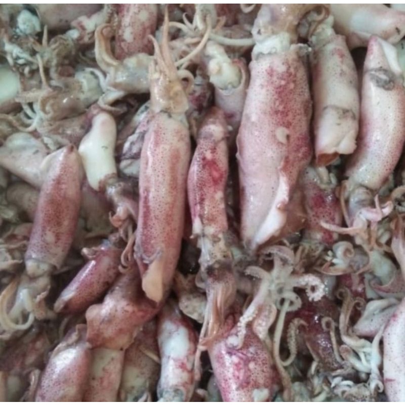 

Cumi asin kering ukuran sedang 1 ons