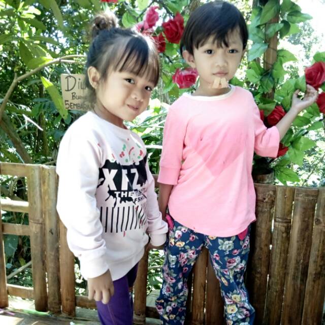 id7964_02807