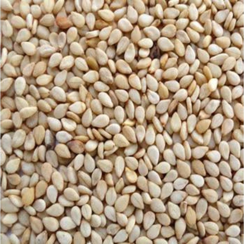 

Wijen putih 100gr