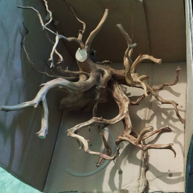 Kayu dan akar rasamala