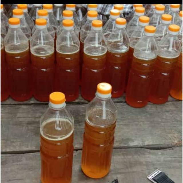 

Madu kuning dari teluk kuantan riau