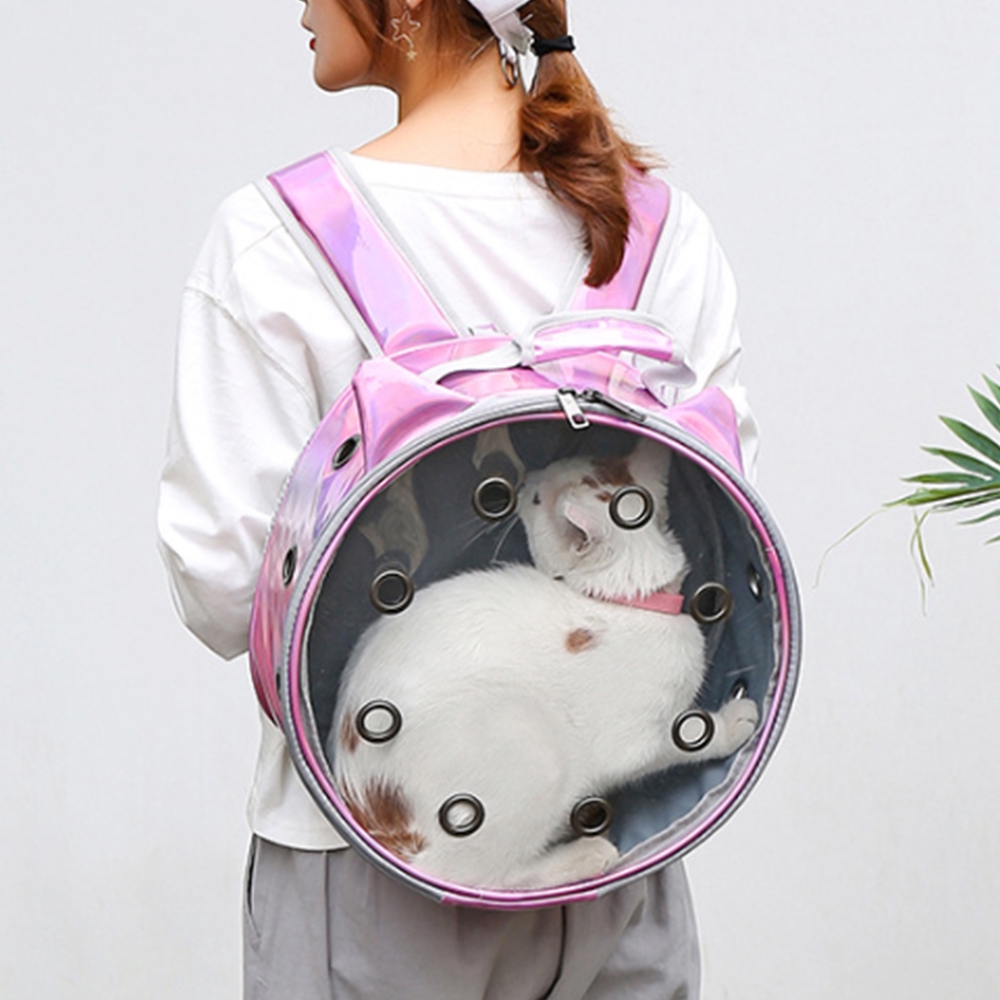 kitten carrier bag