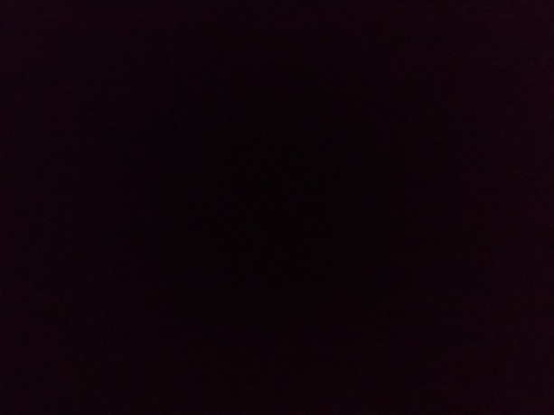 Food Hayday 5pcs Muffin