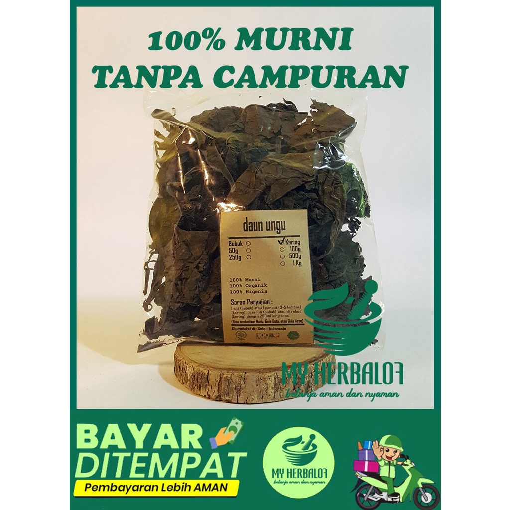 

Daun Ungu Kering / Graptophyllum Pictum / Murni - Jsr - Rempah / Premium Quality