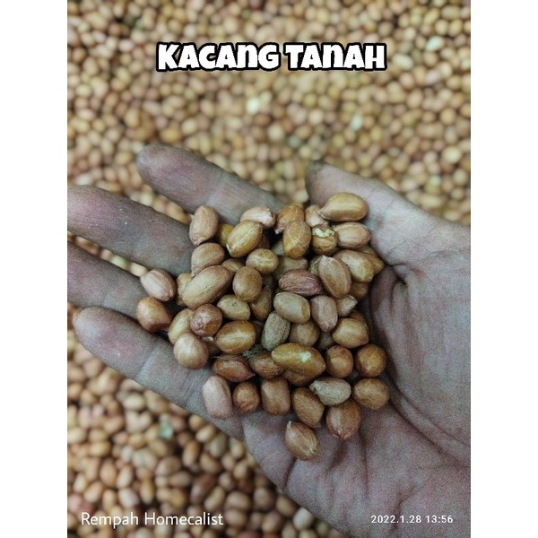 

Kacang Tanah 500gram