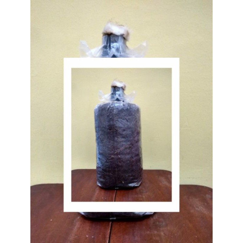 Bibit Jamur Merang 1000gr