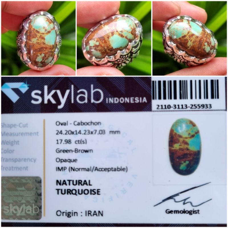 Natural Pirus Persia Turquoise Iran Memo 17.98 crt