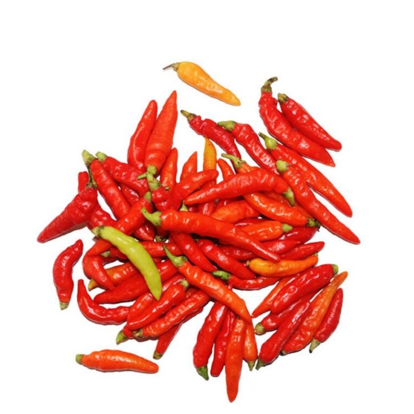 

Cabai Rawit Merah Pack