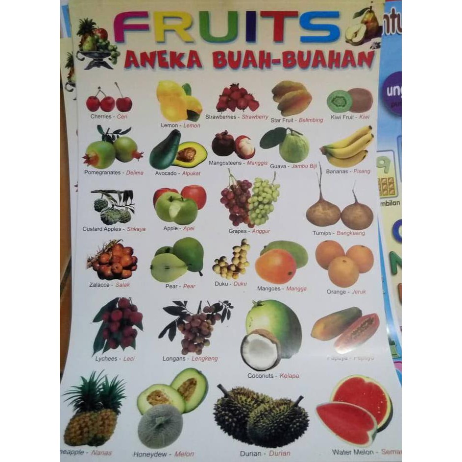 Stok Terbatas Poster Edukasi Seri Buah