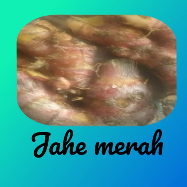 

Jaha merah 1/4kg