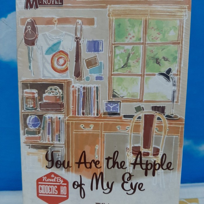 

DISKON SPESIAL 3 BUKU NOVEL YOU ARE THE APPLE OF MY EYE TERLARIS