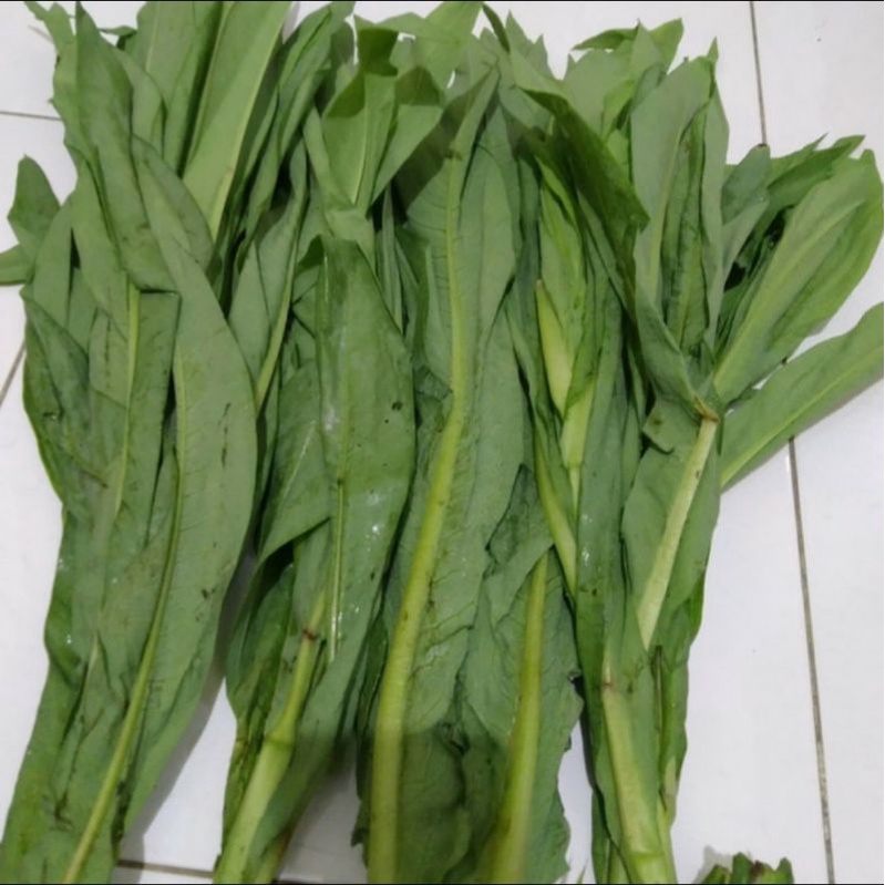 Daun fumak segar 1kg