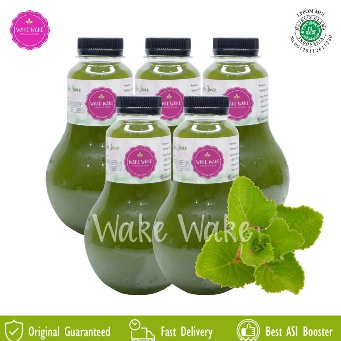 

Cuci Gudang Awal Tahun Wake Wake Jus Daun Bangun Bangun isi 5 Botol Cuci Gudang Awal Tahun