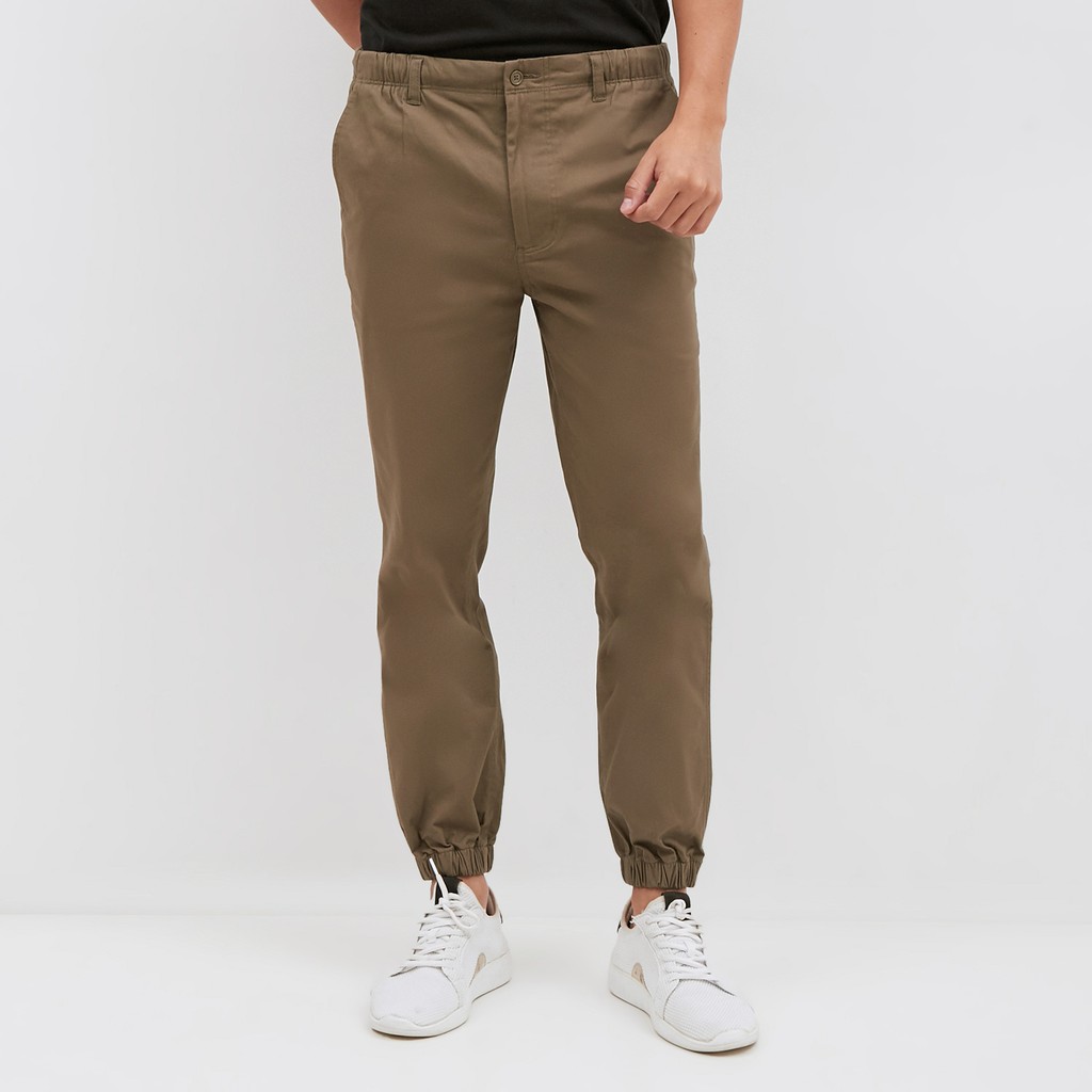 eileen fisher cassis pants