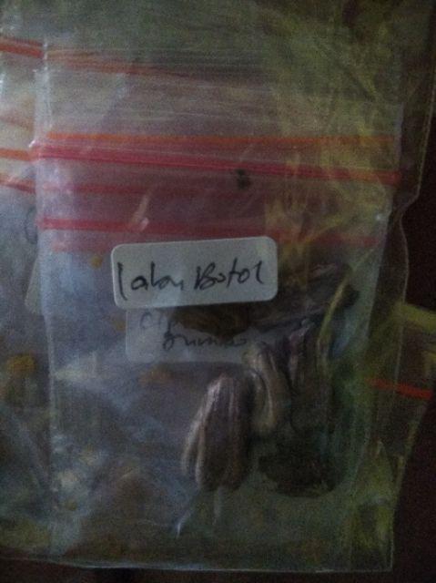 Promo Termurah - Paket 16 Jenis Benih / Biji / Bibit Cabe Hias - Tomat - Labu Botol - Okra - Cipluka