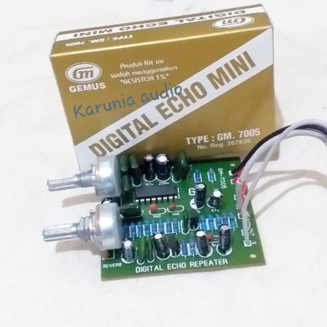Kit Digital Echo Repeater mini