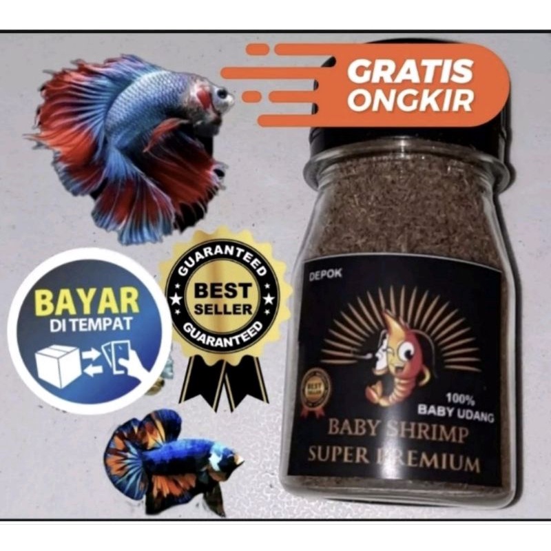 MAKANAN IKAN CUPANG GUPPY CHANA DAN BURAYAK