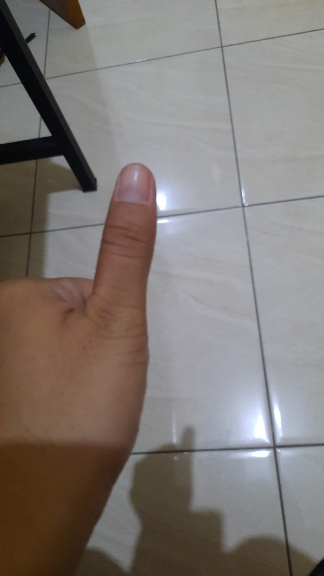 Hanger Suling Cantol Tekuk 12 Paku