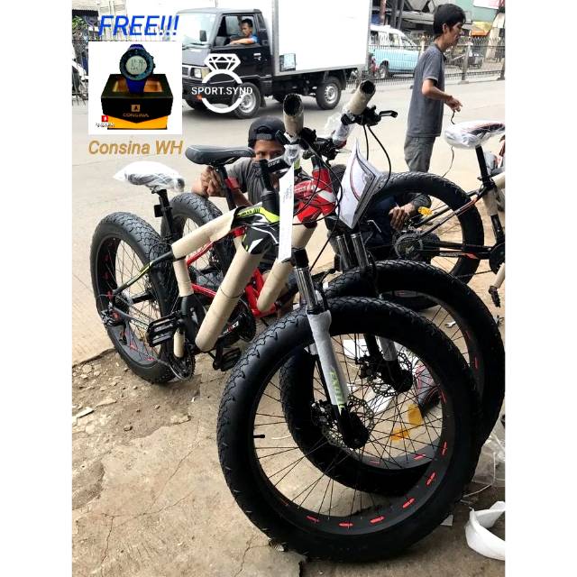 26 fat bike