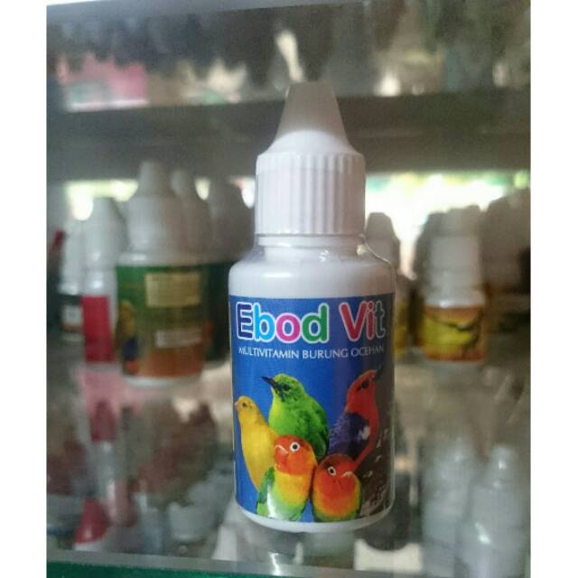 EBOD VIT