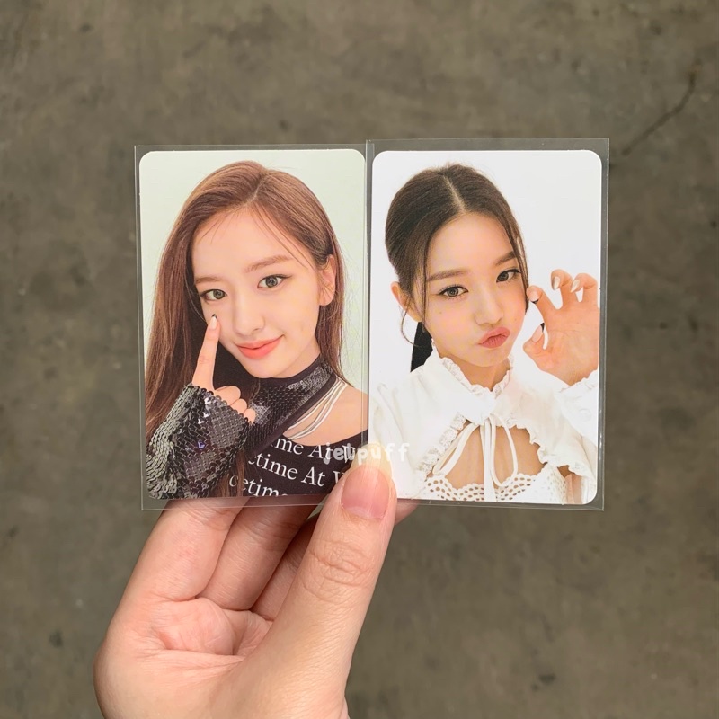[PAIR] pc yujin ver 1 + wonyoung maung ver 2 ive eleven photocard