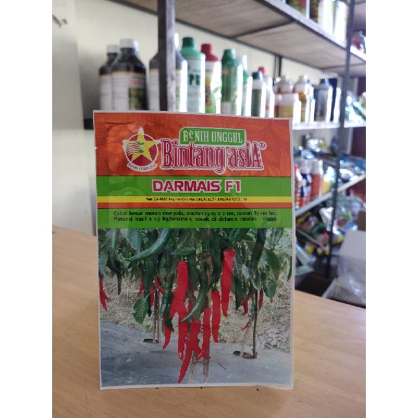 Darmais F1 - Benih Cabai Besar - Bintang Asia